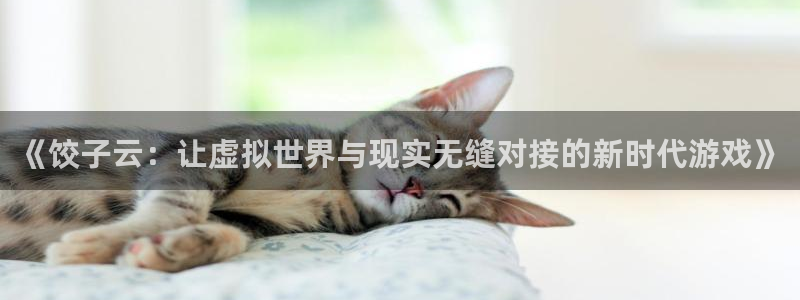 杏盛主管：《饺子云：让虚拟世界与现实无缝对接的新时代游戏》
