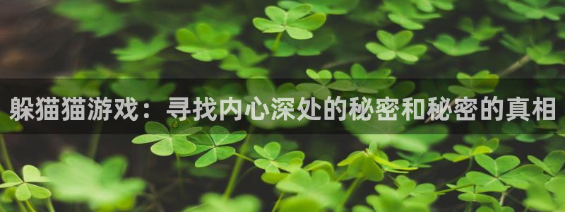 杏盛平台总代理：躲猫猫游戏：寻找内心深处的秘密和秘密的真相