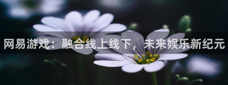 杏盛注册流程和入口