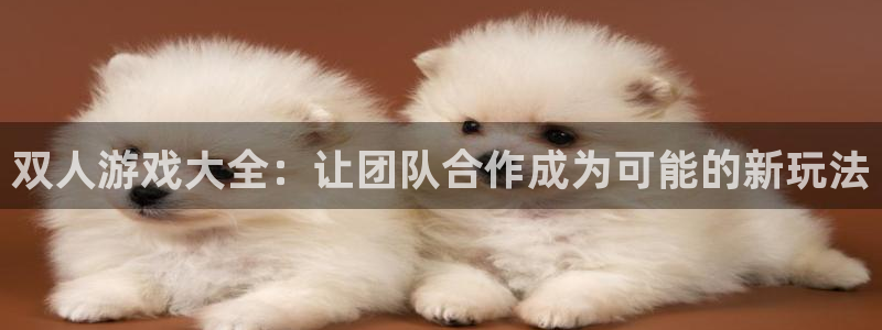 杏盛平台主管：双人游戏大全：让团队合作成为可能的新玩法