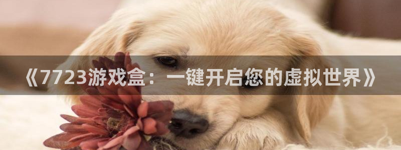 杏盛平台测速：《7723游戏盒：一键开启您的虚拟世界》