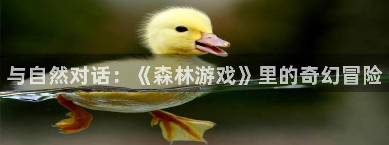 杏盛主管：与自然对话：《森林游戏》里的奇幻冒险