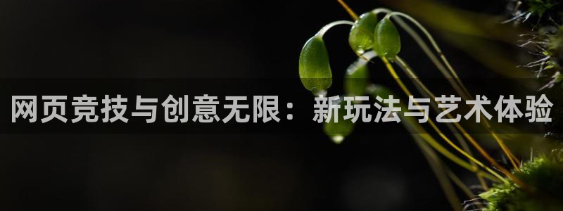 杏盛平台测速：网页竞技与创意无限：新玩法与艺术体验