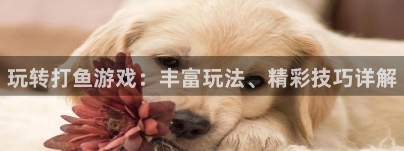 杏盛娱乐：玩转打鱼游戏：丰富玩法、精彩技巧详解