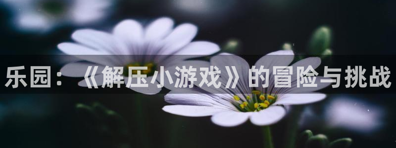 杏盛注册平台官方网站