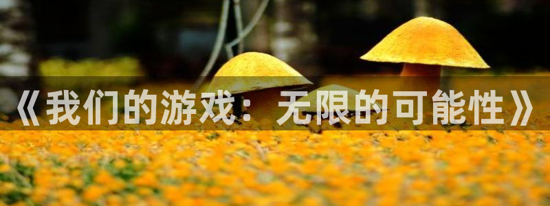 杏盛平台代理：《我们的游戏：无限的可能性》