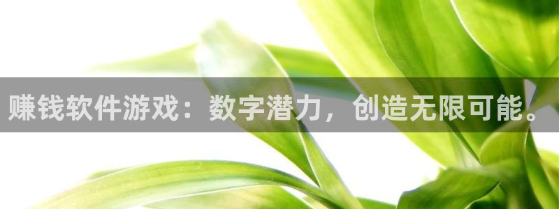 杏盛开户地址：赚钱软件游戏：数字潜力，创造无限可能。