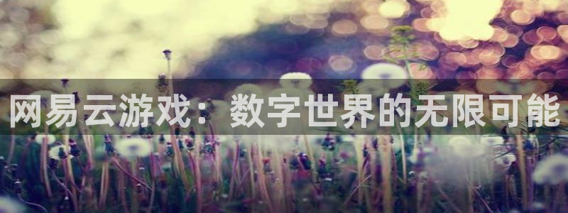 杏盛注册流程和入口