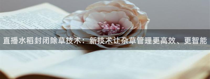 9255tv直播nba在线观看：直播水稻封闭除草技术：新技术让杂草管理更高效、更智能