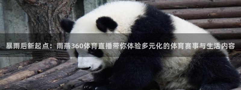9255tv直播nba在线观看：暴雨后新起点：雨燕360体育直播带你体验多元化的体育赛事与生活内容