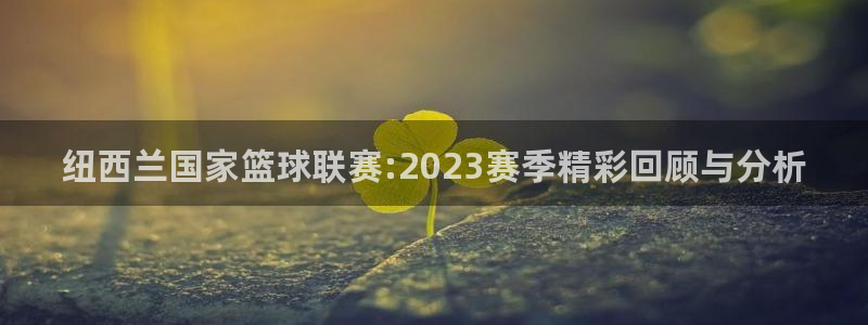 9255tv直播nba在线观看：纽西兰国家篮球联赛:2023赛季精彩回顾与分析
