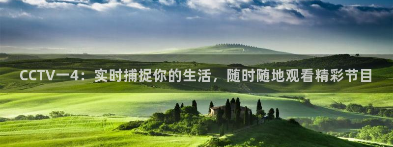 9255tv直播nba在线观看：CCTV一4：实时捕捉你的生活，随时随地观看精彩节目