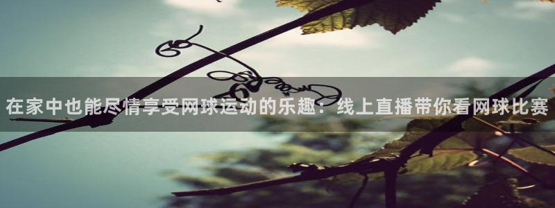 9255tv直播nba在线直播：在家中也能尽情享受网球运动的乐趣：线上直播带你看网球比赛