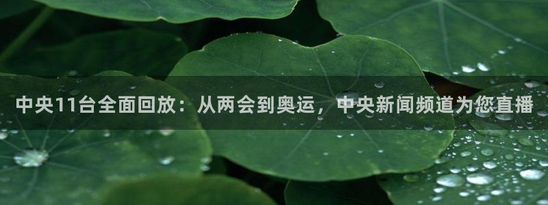 9255tv直播无插件nba：中央11台全面回放：从两会到奥运，中央新闻频道为您直播