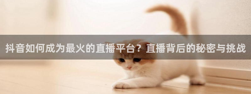 9255tv直播nba在线观看：抖音如何成为最火的直播平台？直播背后的秘密与挑战