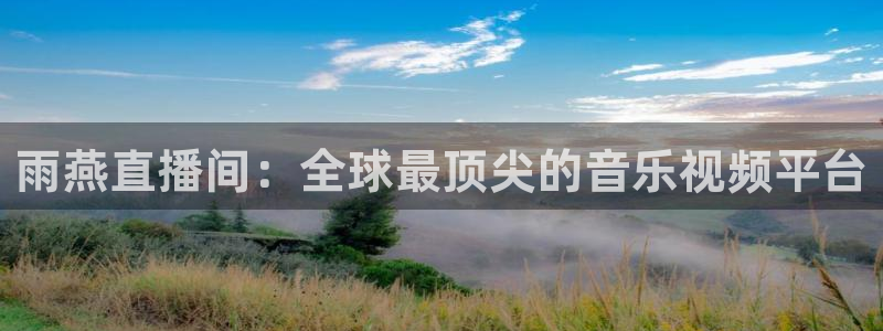 9255tv直播无插件nba：雨燕直播间：全球最顶尖的音乐视频平台