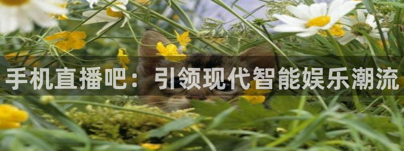9255tv直播nba在线观看：手机直播吧：引领现代智能娱乐潮流