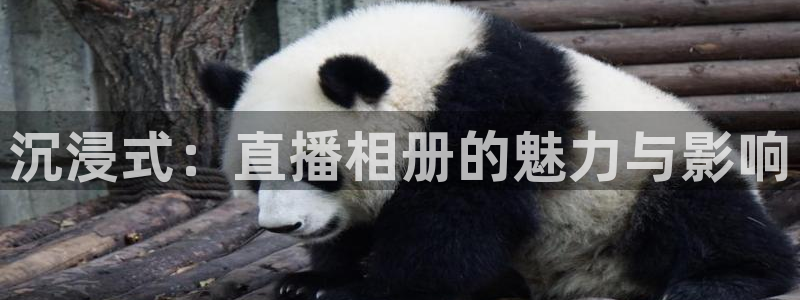 9255tv直播nba在线直播：沉浸式：直播相册的魅力与影响