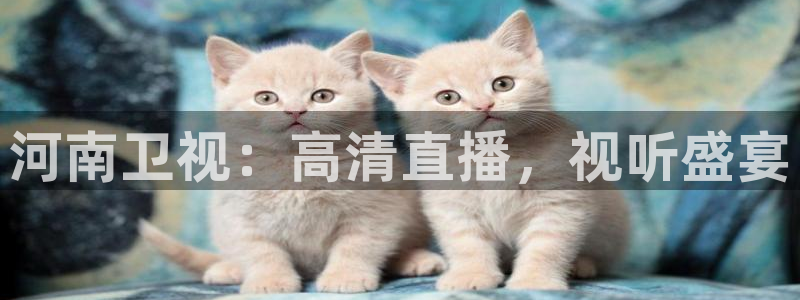 9255tv直播nba在线观看：河南卫视：高清直播，视听盛宴