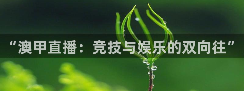 9255tv直播nba在线观看：“澳甲直播：竞技与娱乐的双向往”