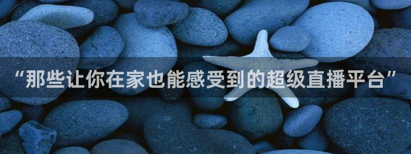 9255tv直播nba在线观看：“那些让你在家也能感受到的超级直播平台”