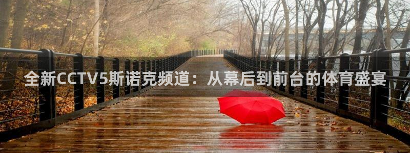 9255tv直播nba在线直播：全新CCTV5斯诺克频道：从幕后到前台的体育盛宴
