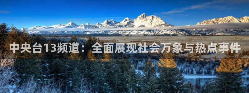 9255tv直播无插件nba：中央台13频道：全面展现社会万象与热点事件