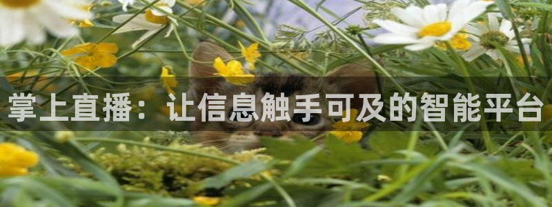 9255tv直播nba在线直播：掌上直播：让信息触手可及的智能平台