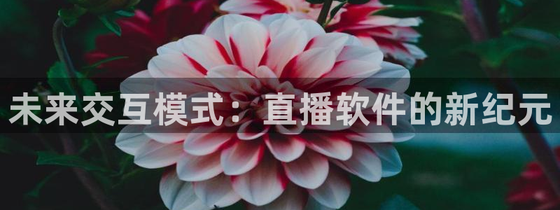 9255tv直播nba在线直播：未来交互模式：直播软件的新纪元