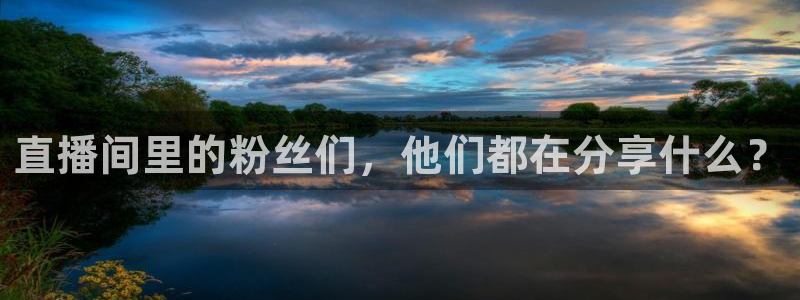 9255tv直播nba在线直播：直播间里的粉丝们，他们都在分享什么？