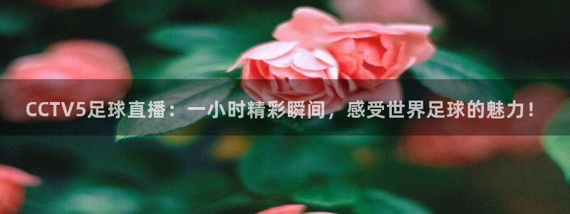 9255tv直播nba在线直播：CCTV5足球直播：一小时精彩瞬间，感受世界足球的魅力！